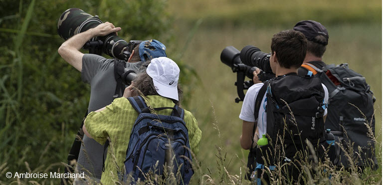 Fotokurs mit Ambroise Marchand