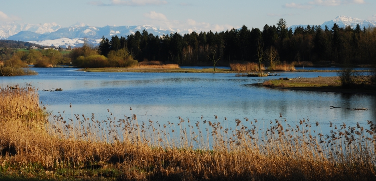 Landschaft Flachsee_Unterlunkhofen_Josef Fischer_2008_0407_XS