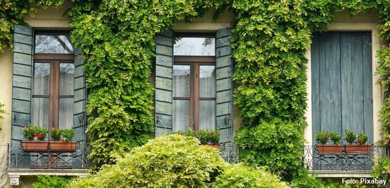 Begrünte Fassade_Pixabay_770x371px