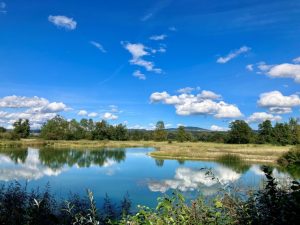 Junior Ranger Wolken_S